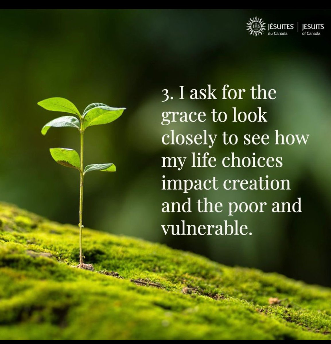 AndresMerino7's tweet photo. Ignatian Eco-Examen https://t.co/wHYOI0p7be
