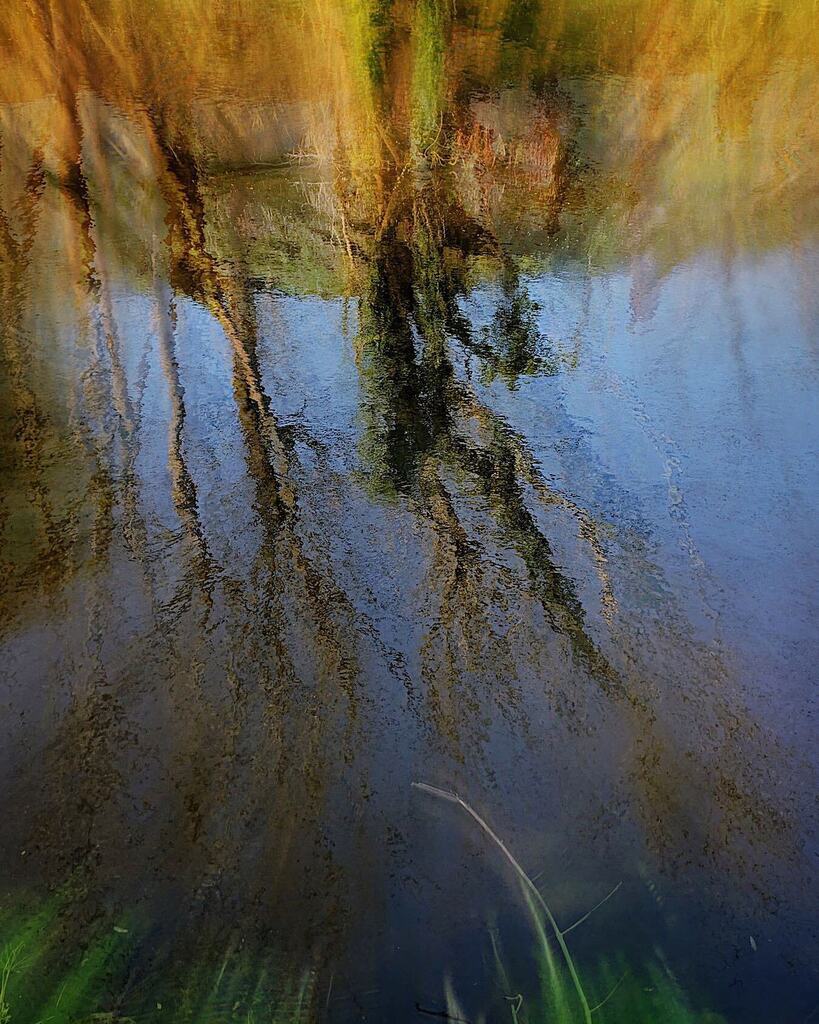 GhostsGavin's tweet photo. The drifting versions of me, which coalesce around this tangle of ivy, reflected in a surface deep as any ocean.
#vibrantmatter #morninglight #springlight #reflectionsonwater #icm #layeredphotography https://t.co/dFt1DxARe0