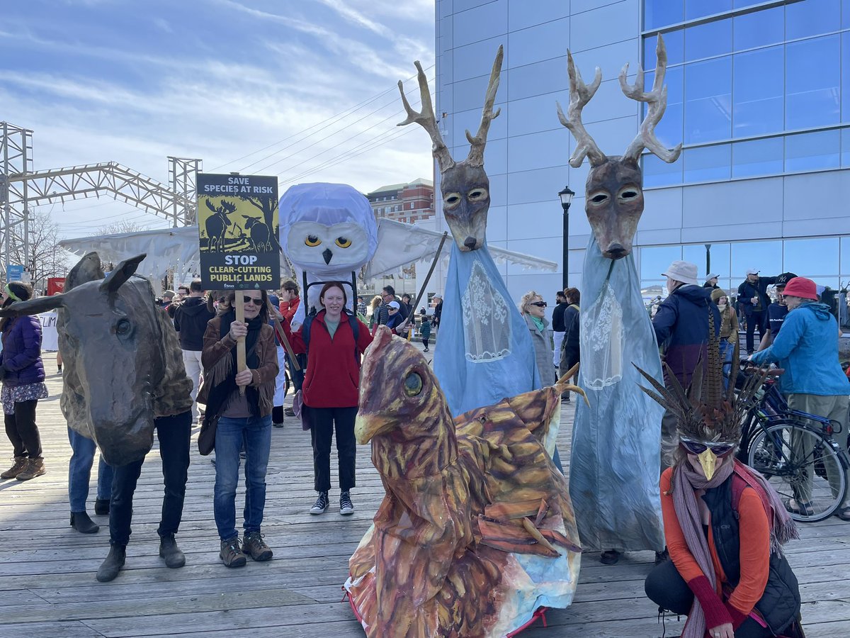 EACwilderness's tweet photo. That’s a wrap. What a great day &amp; a huge turnout for the People’s Parade for Life on Earth  in #Halifax #NovaScotia on #EarthDay2023. #nspoli https://t.co/m4UhKoCZYi