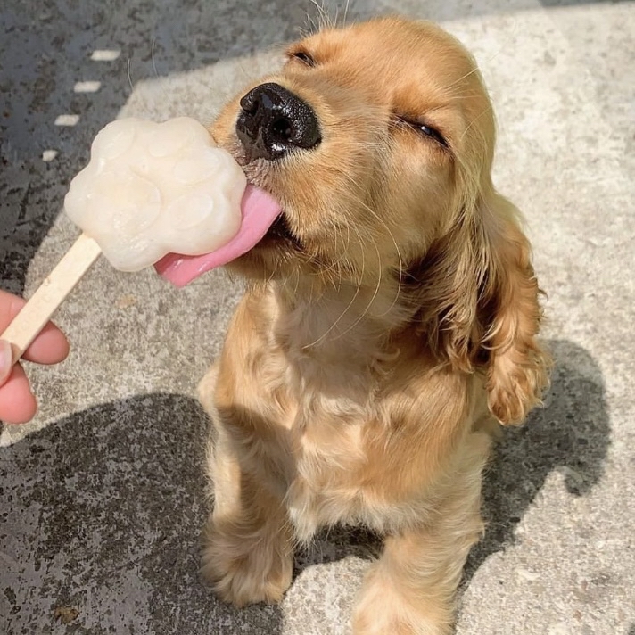 Happy Saturday mVPs 🫶🏻🐶