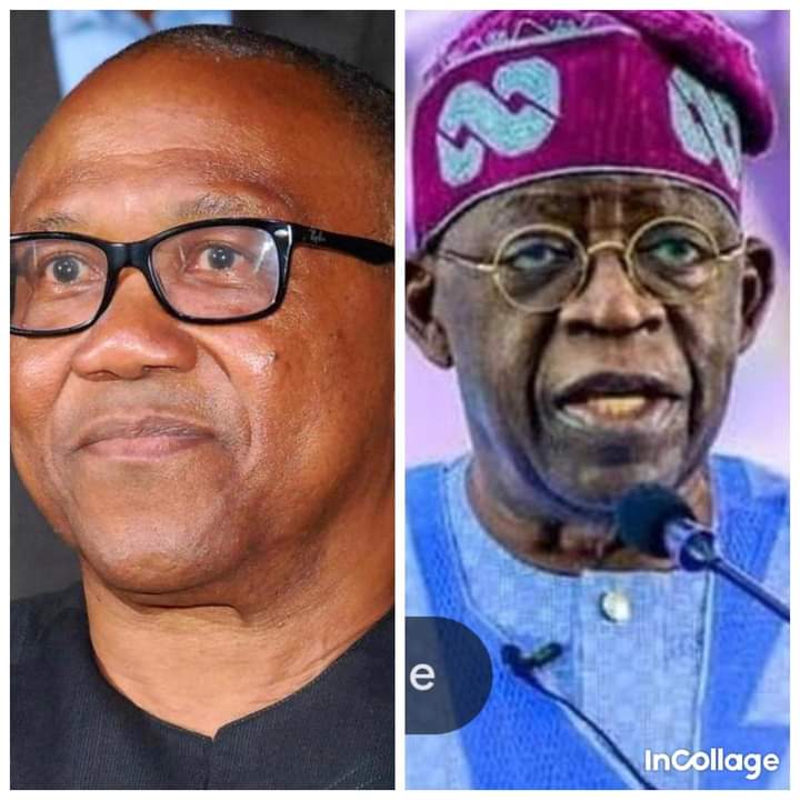 Who is your president? 

RETWEET for Peter Obi 

Like ♥️ for Bola Ahmed Tinubu (the drug lord Boss)