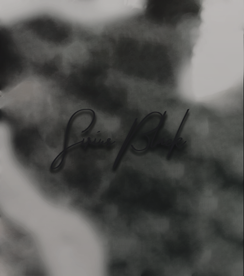 𝐖𝐀𝐍𝐓𝐄𝐃: Sirius Black.

➣ Ambientado en los últimos años de Hogwarts.
➣ Trama con <a href="/laviestboheme/">𝐁𝐚𝐫𝐭𝐞𝐦𝐢𝐮𝐬.</a> y <a href="/N0TAKIDD0/">𝐑𝐞𝐠𝐮𝐥𝐮𝐬 𝐁𝐥𝐚𝐜𝐤</a>.
➣ Faceclaim: Eren Güvercin.