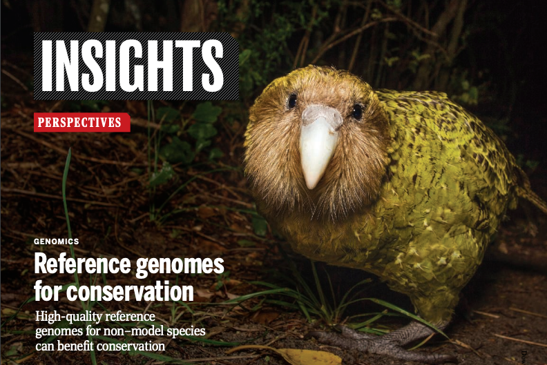 What does genomics have to do with conserving species and protecting earth's biodiversity? In fact, quite a bit. Explore this article featuring the incredible work of @GenomeArk as they strive to create high-quality genomes for many species. #EarthDay hubs.la/Q01MpnmT0