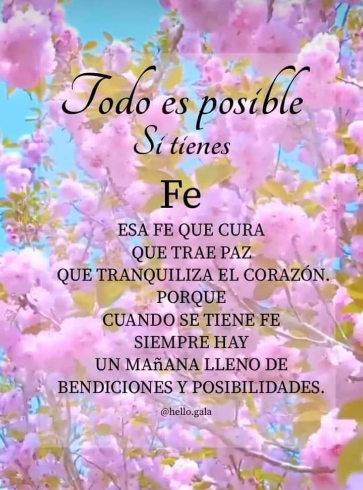 Fe✨🌈🙏