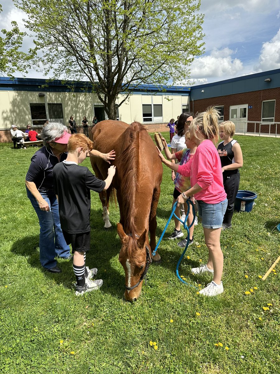 The Kindness Crew hung with Aggy from <a href="/furvivors/">Furvivors</a> to learn more about horse rescue after they organized a school wide coin war to donate $547 to an amazing organization. We’re so proud of our Bobcats and the way they give back to our community! <a href="/WestChesterASD/">West Chester Area SD</a>