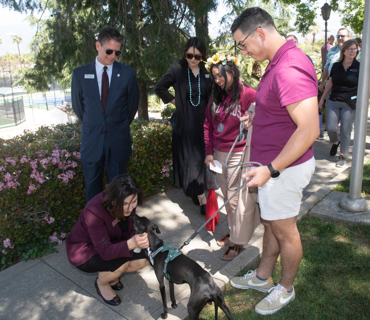 Krista Newkirk tweet media