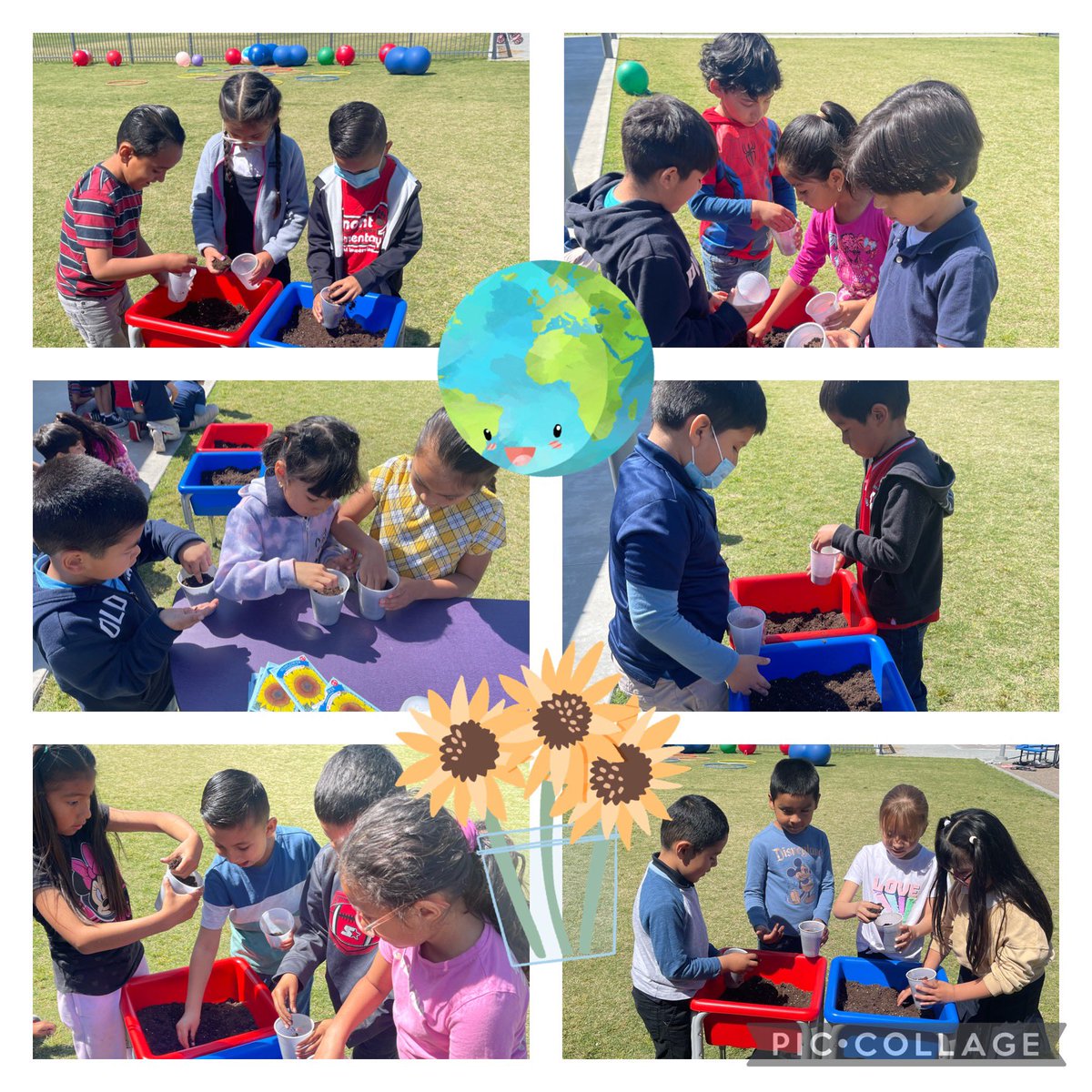 Pat Rascoe tweet media