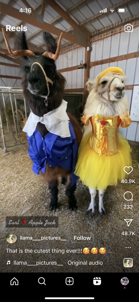 MrsM_art's tweet photo. Freaking adorbs! https://t.co/mYkv5D8nKb