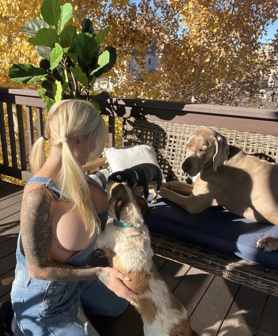 Do you have pets? Post a pic of them in the comments ☺️ https://t.co/wEbJTC7Oxi