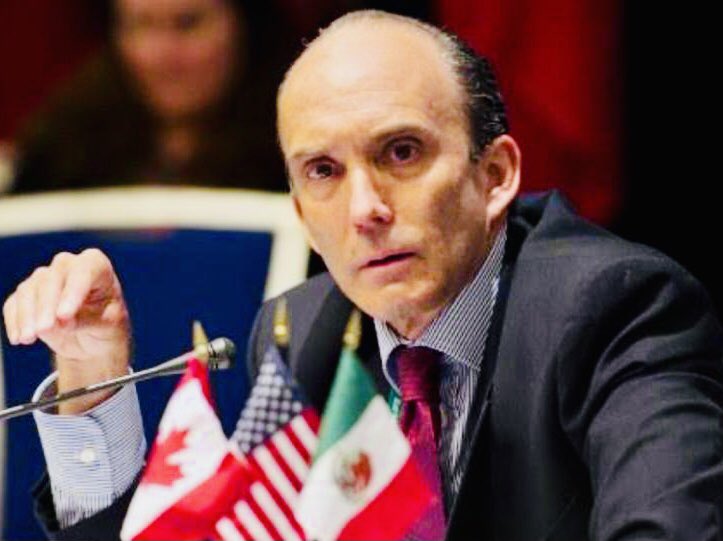 BARCENAMIGUEL's tweet photo. Hoy a las  15.30 pm Gustavo Alanis. Pte. del @CEMDA habla sobre los asesinatos y agresiones a defensores de la Naturaleza y Derechos Humanos en Mexico. La violencia y la impunidad van en aumento. https://t.co/bYvkaqijxk