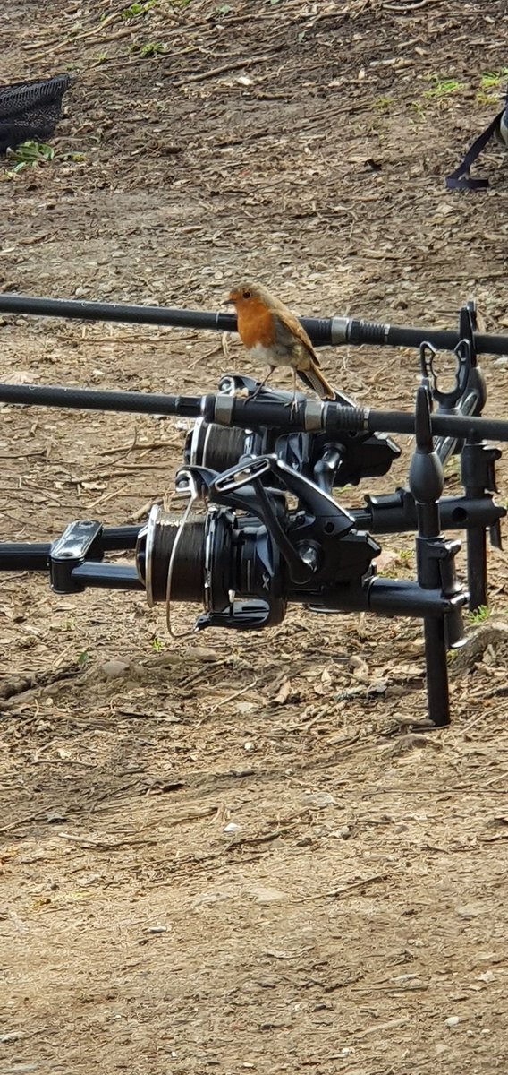 Blessed for the first session of the year