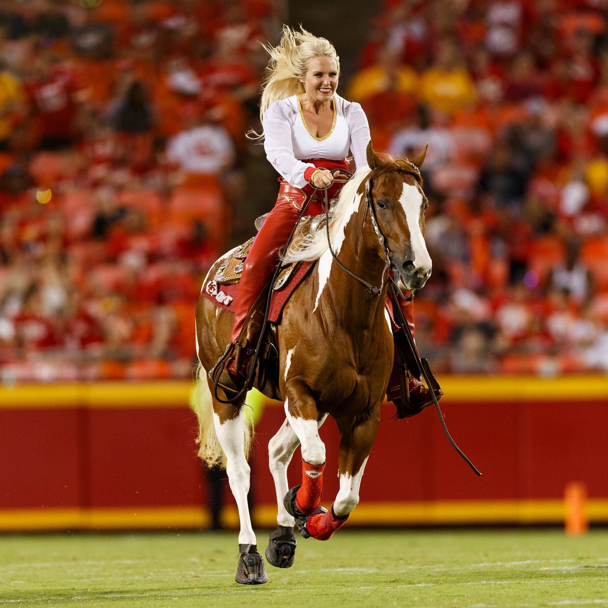 Chiefs Kingdom Memes - CKM tweet media