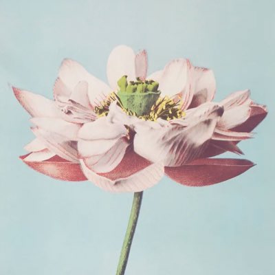 JayMeQueen2326's tweet photo. #NewProfilePic https://t.co/0Vr7HXVjrx