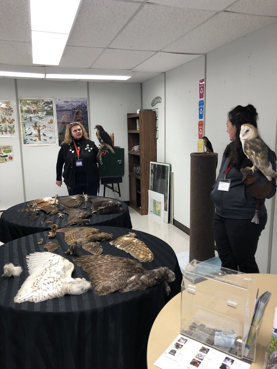 YRDSBGetOut (@yrdsbgetout) on Twitter photo Happy 50th <a href="/VivianORC/">Vivian ORC</a>! Fantastic day full of old and new friends across <a href="/YRDSB/">York Region DSB</a>. The entire OEE team extend gratitude to all who were able to join us <a href="/heathersears7/">heather.sears</a> <a href="/YRDSBDirector/">Scott Yake</a> <a href="/JJohnston138/">Jodi Johnston</a> Happy 50th <a href="/VivianORC/">Vivian ORC</a>! Fantastic day full of old and new friends across <a href="/YRDSB/">York Region DSB</a>. The entire OEE team extend gratitude to all who were able to join us <a href="/heathersears7/">heather.sears</a> <a href="/YRDSBDirector/">Scott Yake</a> <a href="/JJohnston138/">Jodi Johnston</a>