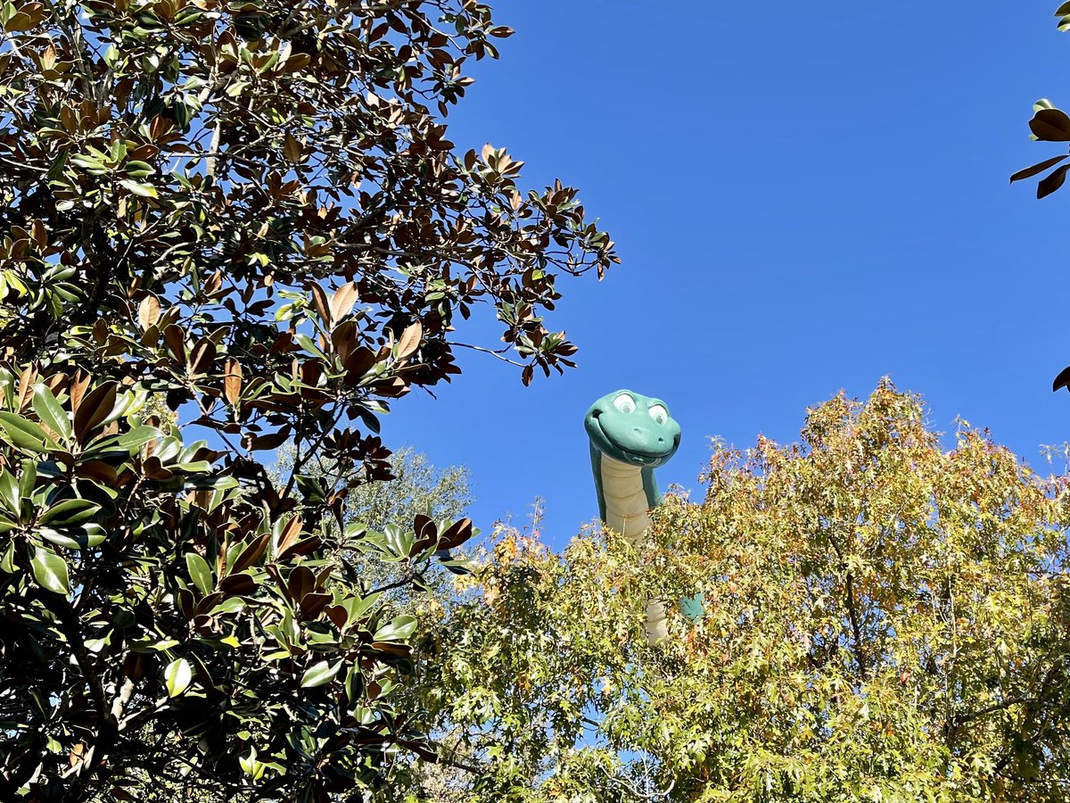 RIPcotCenter's tweet photo. Happy 25th. I love ya. #NotAZoo #DAK https://t.co/8Ac8anQpfM