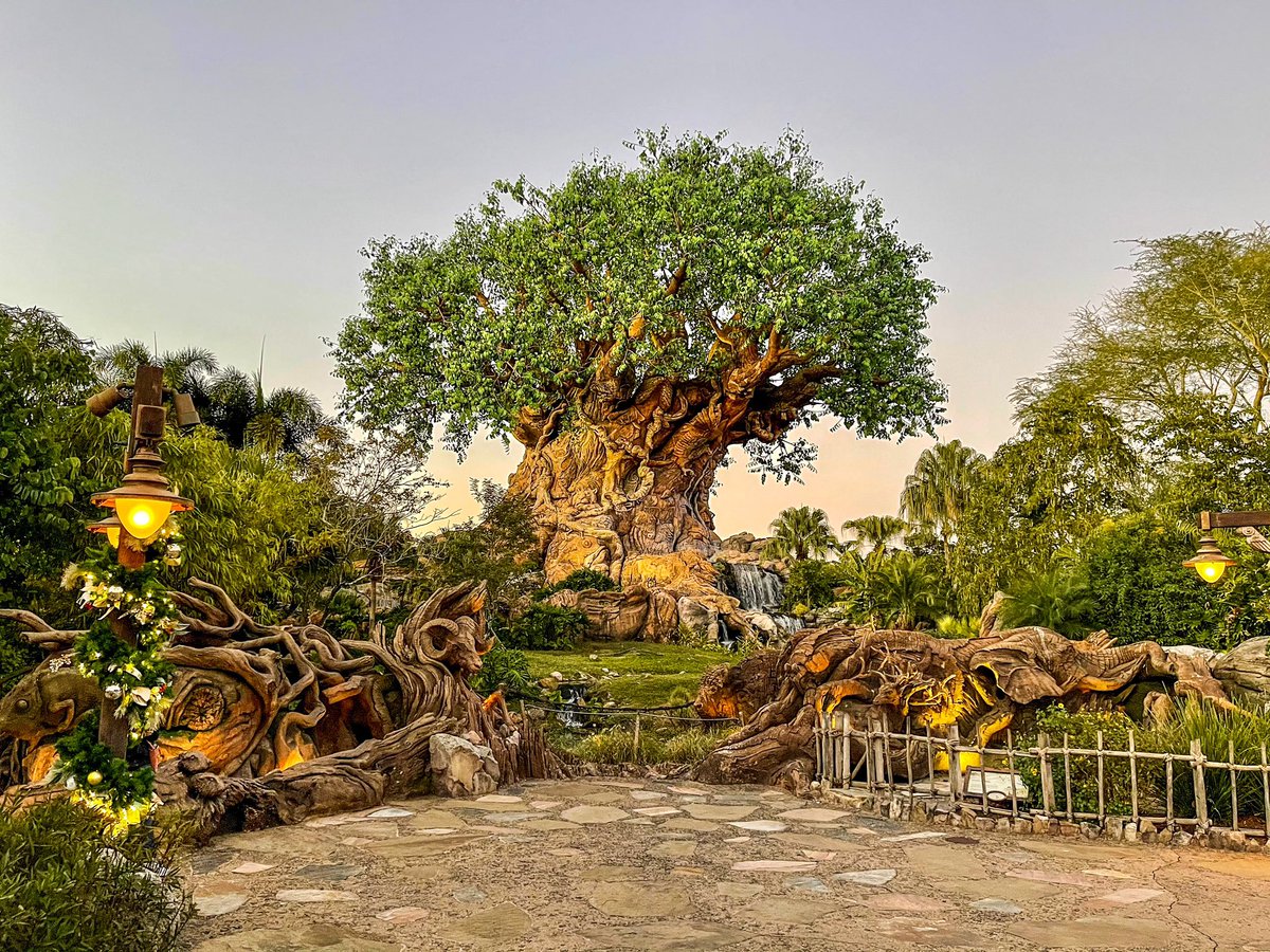 RIPcotCenter's tweet photo. Happy 25th. I love ya. #NotAZoo #DAK https://t.co/8Ac8anQpfM