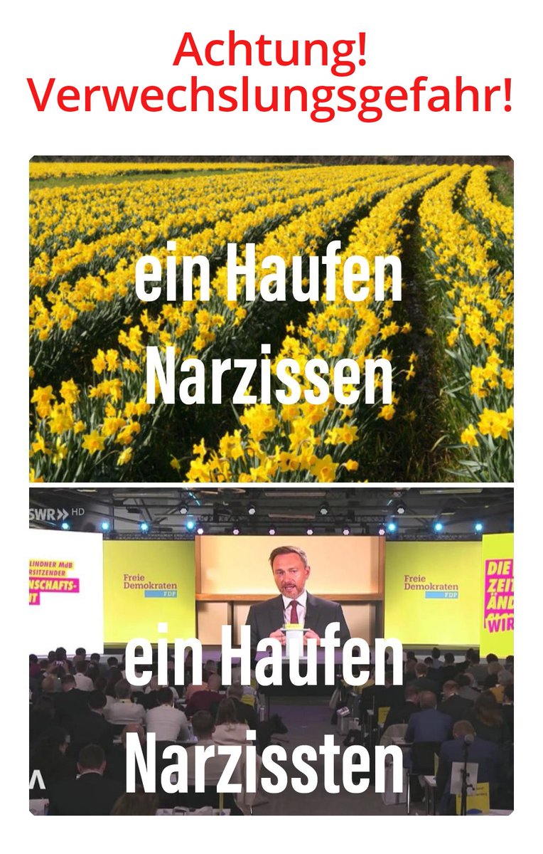 kochmich's tweet photo. @fdp @DjirSarai Die #FDP ist eine 6% Partei mit einer übersteigerten narzisstischen Störung. Tendenz #FDPunter5Prozent https://t.co/8ZcAoCTOly