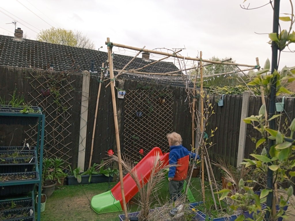 maryrbeddows's tweet photo. Wanted to share the good news - I'm finally a #homeowner!
Check out my new #microhome - an amazing feat considering I'm a #millenial 😅
Has covered #porch, private #garden on a secluded plot, #kitchenette, adjacent sun #terrace with #grapevines, #slide & hand-built #pergola! https://t.co/GXWvDyxCnt