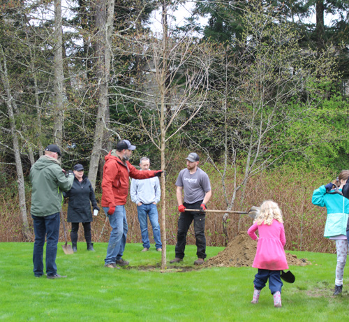 IslandSocTrends's tweet photo. Langford residents flocked to Willing Park this morning on #EarthDay2023 to plant new trees, assisted by City of Langford parks staff. https://t.co/Jpv1TyMxSG | #westshore #Langford #tree_planters #greenspace #forests #watershed https://t.co/UfswURDjf0