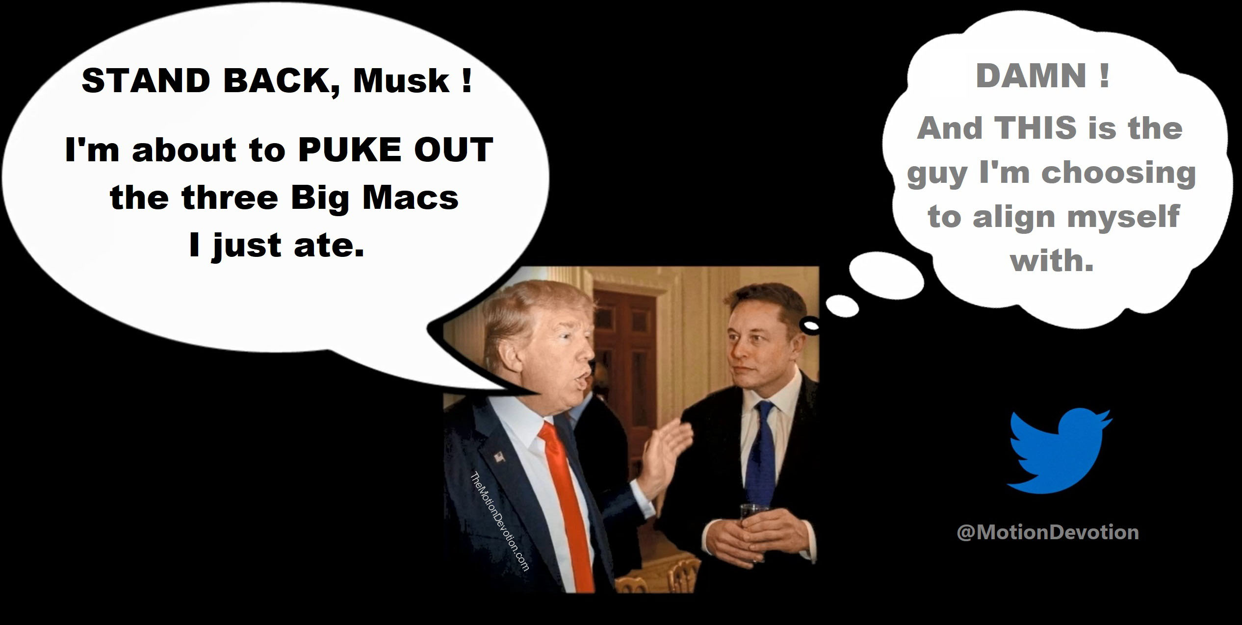 The astute galoot on twitter elmo tuckums we are so fascist