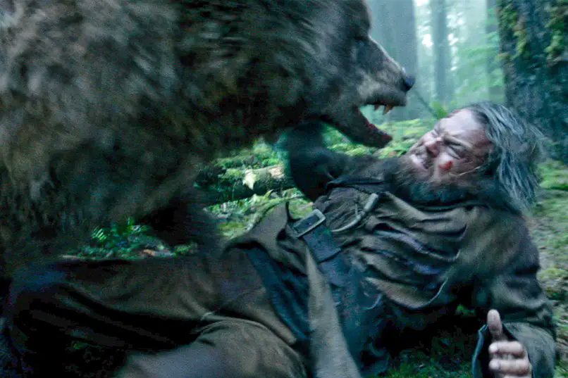 ScreenAdaptati1's tweet photo. 🌲🐺 "The Revenant" film adaptation starring Leonardo DiCaprio featured a grizzly bear attack, but in the original book, protagonist Hugh Glass was actually mauled by a pack of wolves! #TheRevenant #LeonardoDiCaprio #FerociousFacts https://t.co/UQvmlBkYRG