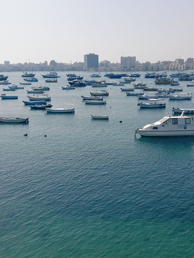 سيدرا (@sydr19659942) on Twitter photo 