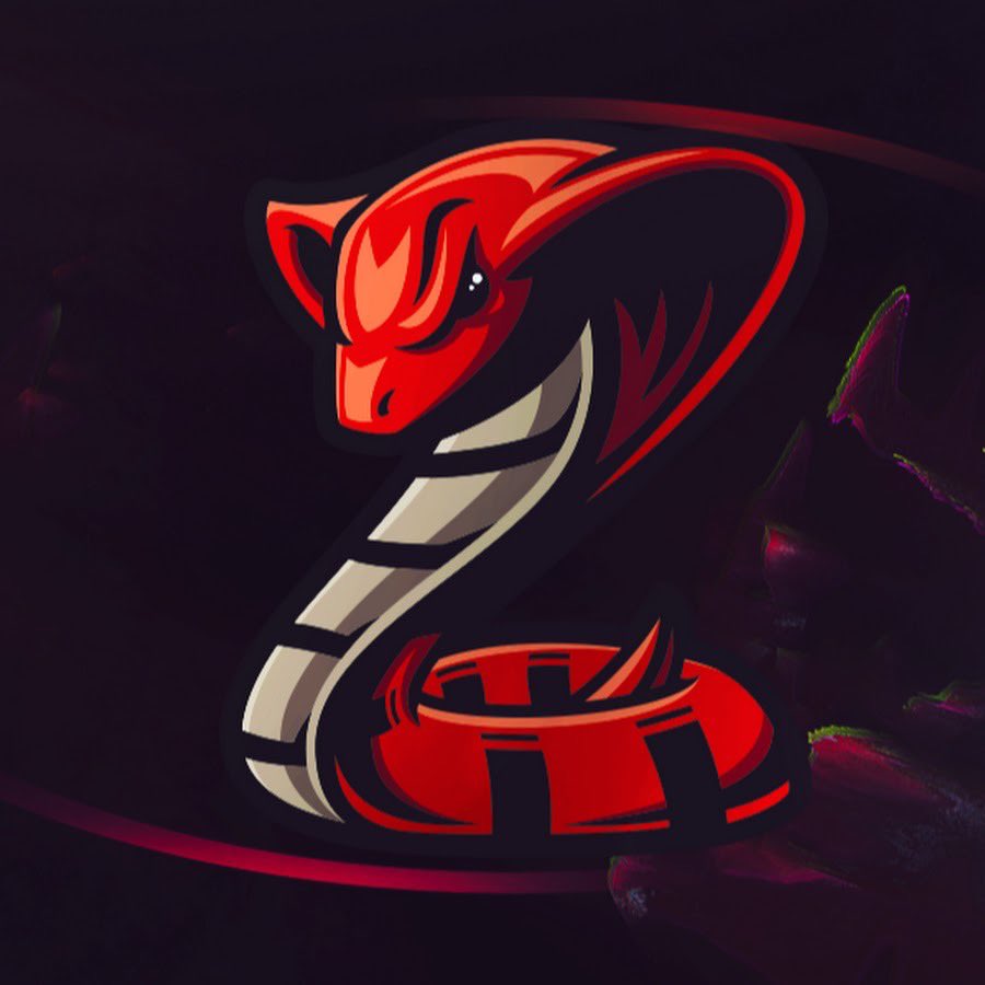 Pythons tweet media