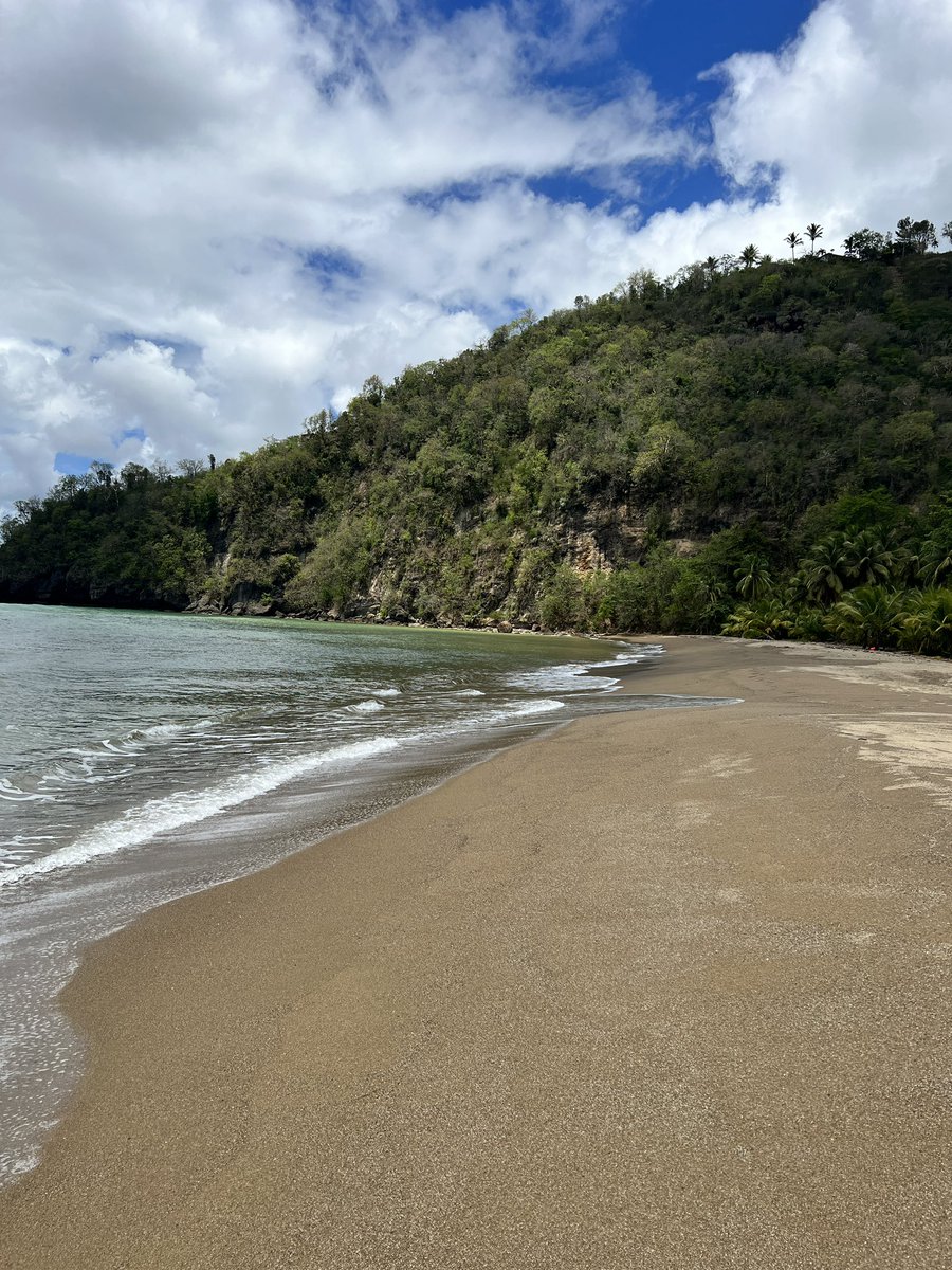 Michst22's tweet photo. Happy #EarthDayEveryDay a glimpse of an unspoilt #Caribbean beach front 🏝️Here is to preserving the few that are left  #planet #nature #EarthDay 🌎🌳 https://t.co/xNouVkLh5K