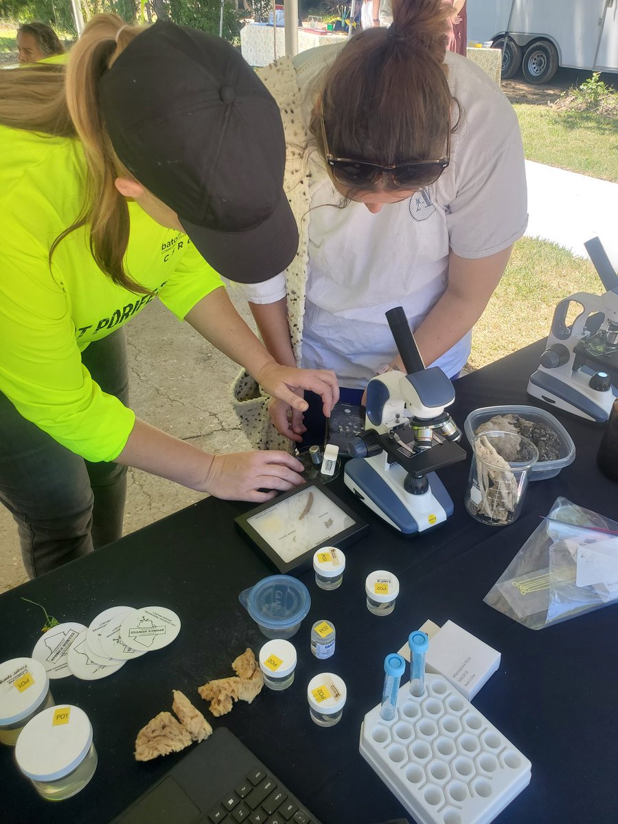 laspongehunters's tweet photo. We had a great time at the BioBlitz Biodiversity fair! Nothing like share our of Freshwater sponges!
https://t.co/OSjOEdLG8L 
#Freshwatersponges
#laspongehunters
#spongeresearch https://t.co/541yIr8SMv