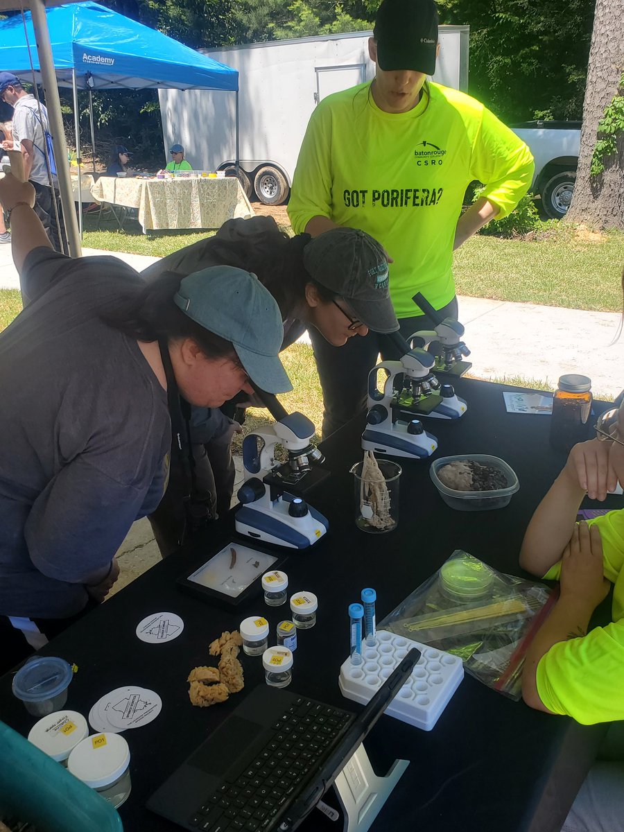 laspongehunters's tweet photo. We had a great time at the BioBlitz Biodiversity fair! Nothing like share our of Freshwater sponges!
https://t.co/OSjOEdLG8L 
#Freshwatersponges
#laspongehunters
#spongeresearch https://t.co/541yIr8SMv