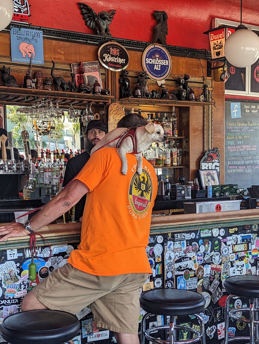 Matthew Rorie on Twitter: