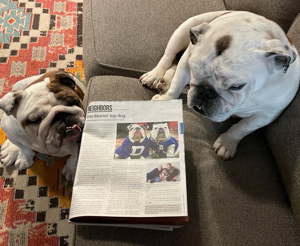 DrakeUGriff's tweet photo. Did you see your Dogs in the latest issue of @dmcityview ? Porterhouse is in there too! ๐ #DSMHometownDog #IAmSoProudToBeYourDog #OriginalGriff @DrakeUniversity https://t.co/0P6MbihY15