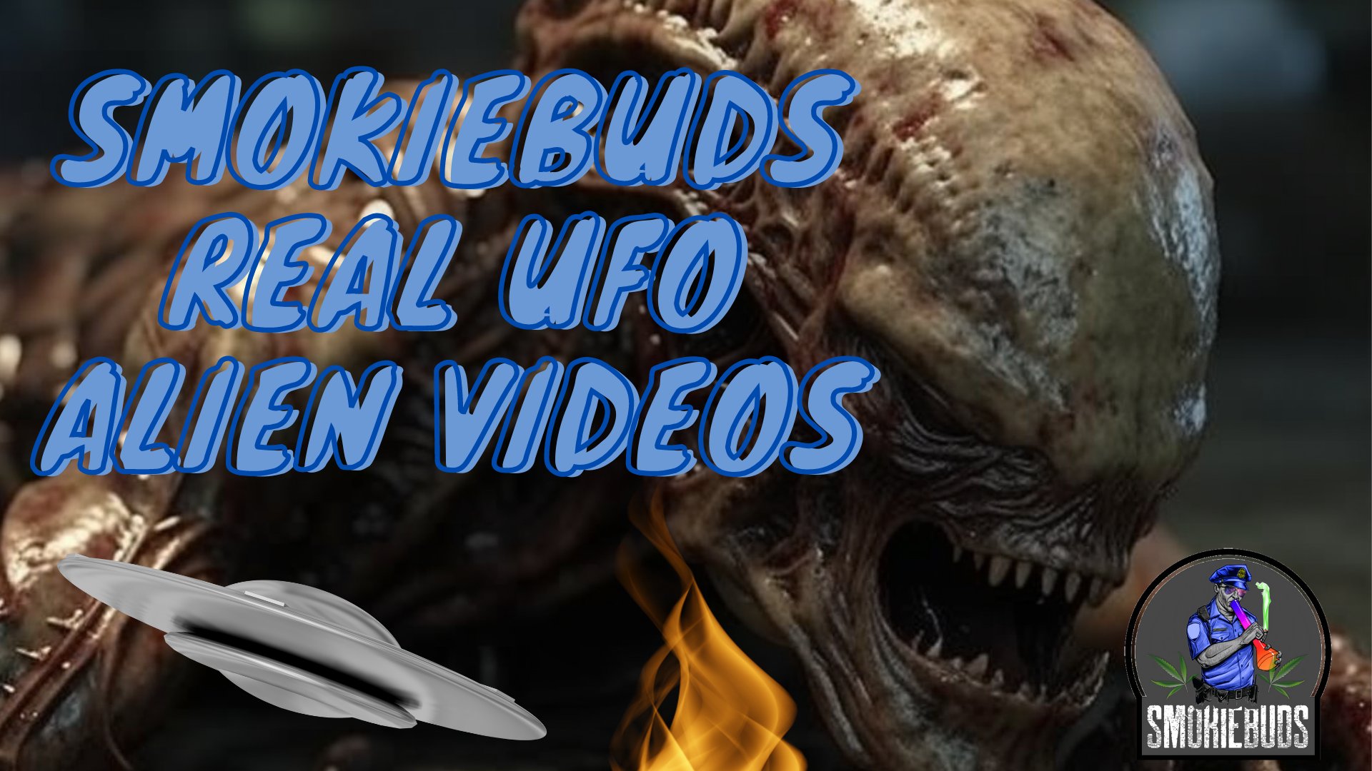 smokibuds on Twitter: "👽📷 Unbelievable REAL #Aliens footage caught on #