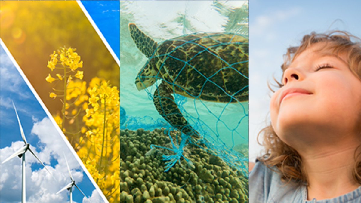 Educators! You can get involved today and make a change for kids, your community, and the world. This #EarthDay, sign up to help us field test three upcoming Smithsonian Science for Global Goals guides on Energy, Oceans, and Climate Action. s.si.edu/3m24YR4