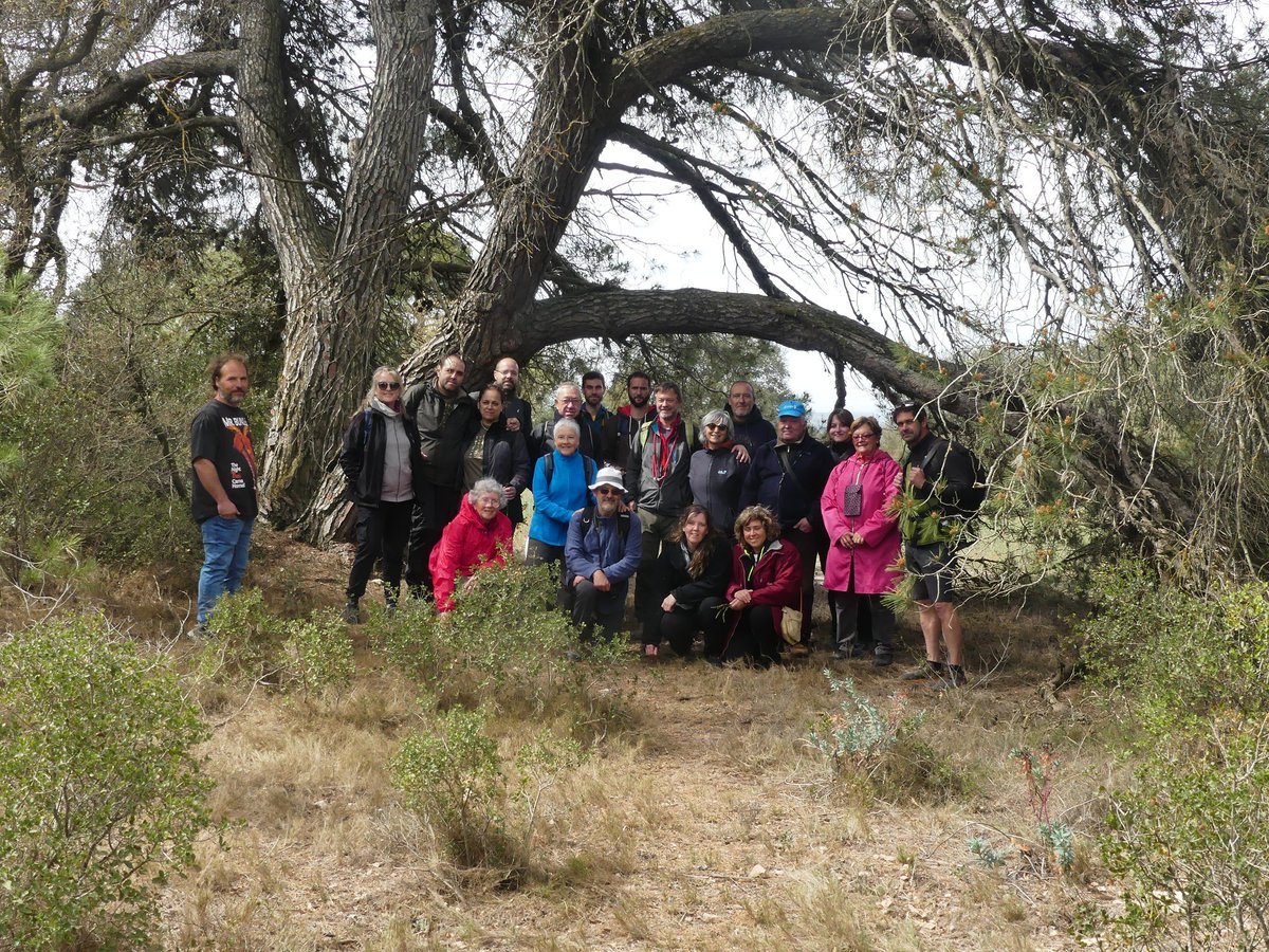 daniesfra's tweet photo. Matí de excursió botànica de @FloraCatalana amb bona companyia a La Guàrdia Lada; fins a 22 inscrits fent descoberta i avaluació de la biodiversitat florística del terme, i efectes de la sequera en vegetació #LaGuardiaLada #laSegarra #MontoliudeSegarra #Comalats #NaturaSegarra https://t.co/q4xdb1fTE1
