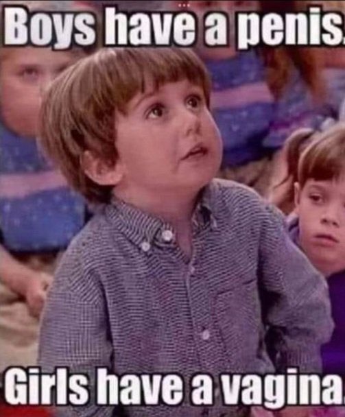 Taco King 𝕏 tweet media