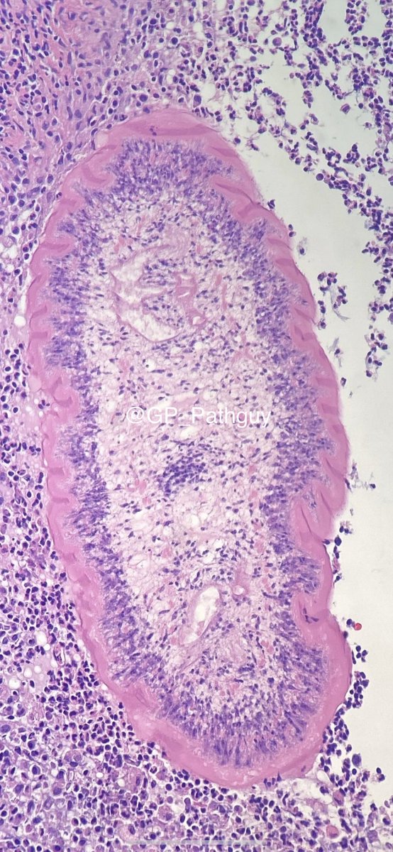 Glenn Murray tweet media