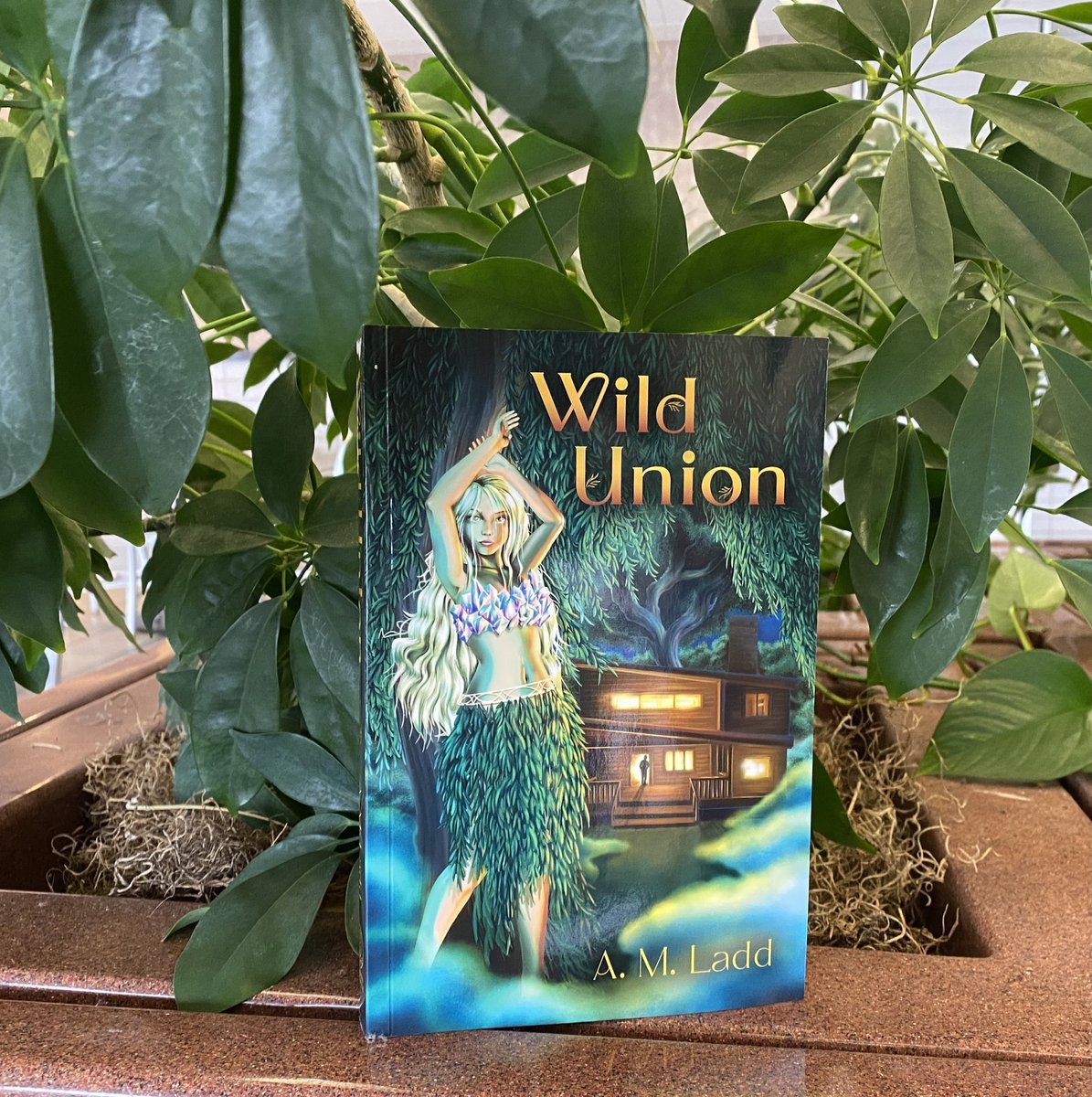 AMLaddAuthor's tweet photo. What are you doing for Earth Day? The Dryad Ashbrook sisters from Wild Union want to know. Go to https://t.co/tNfM44Ueus for ideas. https://t.co/TIIg9N5lVf #wildunion #earthday #savetheplanet #naturelover #fantasybooks https://t.co/YTYGqW3Di4