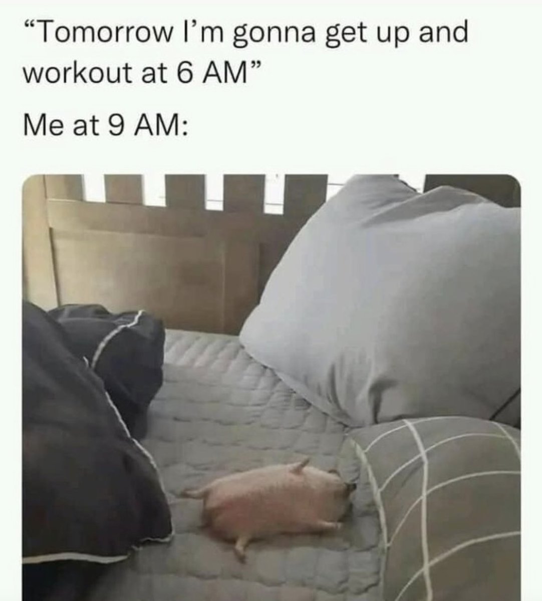 Women's Humor tweet media