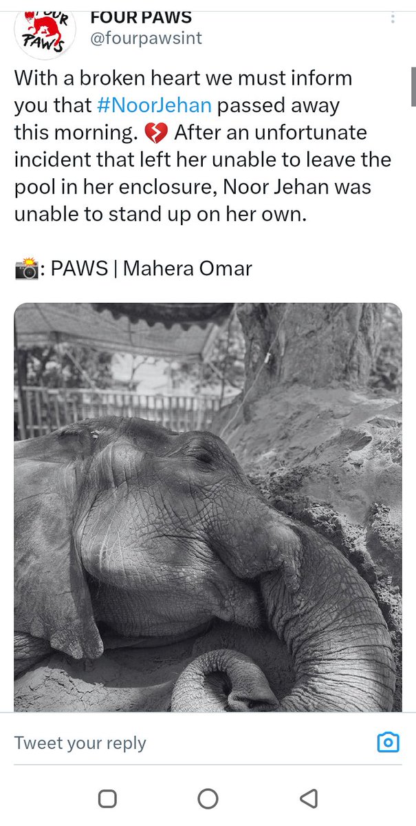 HadiqaXheikh's tweet photo. No we don't want to reform the system we just want to #ShutDown  the #zoo system. send other #animals to sanctuaries #bycottzoo #shutdownzoo #banzoo #NoorJehan #captivitykills #sindhgovt #kmc #PakistanArmy #CrueltyFree #justicefornoorjehan https://t.co/K2vVolvzHk