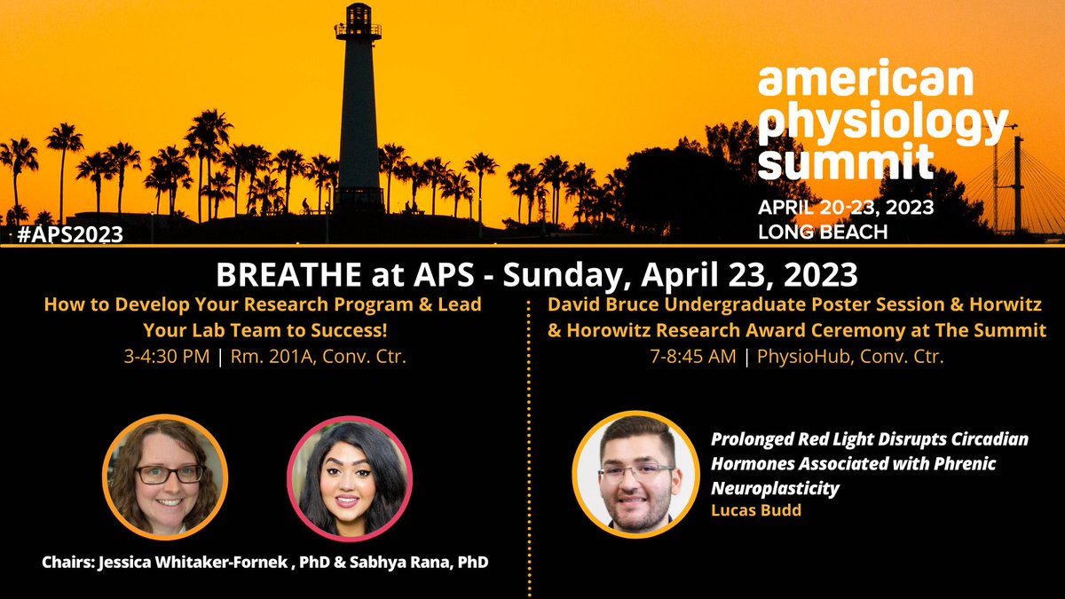 UFBreathe's tweet photo. 🗣️ Be sure to join BREATHE trainee @Sabhya_Rana & @FornekJessica to learn how to run a successful lab tomorrow at 3pm PST & catch Lucas Budd (@GManBreathe lab) presenting his work on #circadian hormones & phrenic #neuroplasticity during the undergrad poster session! #APS2023 👇 https://t.co/Vk2WINLv90