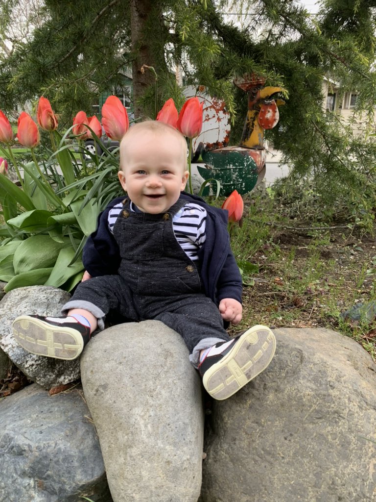 farmerberger's tweet photo. 🌷❤️🌷❤️ https://t.co/UQppKTbTgl