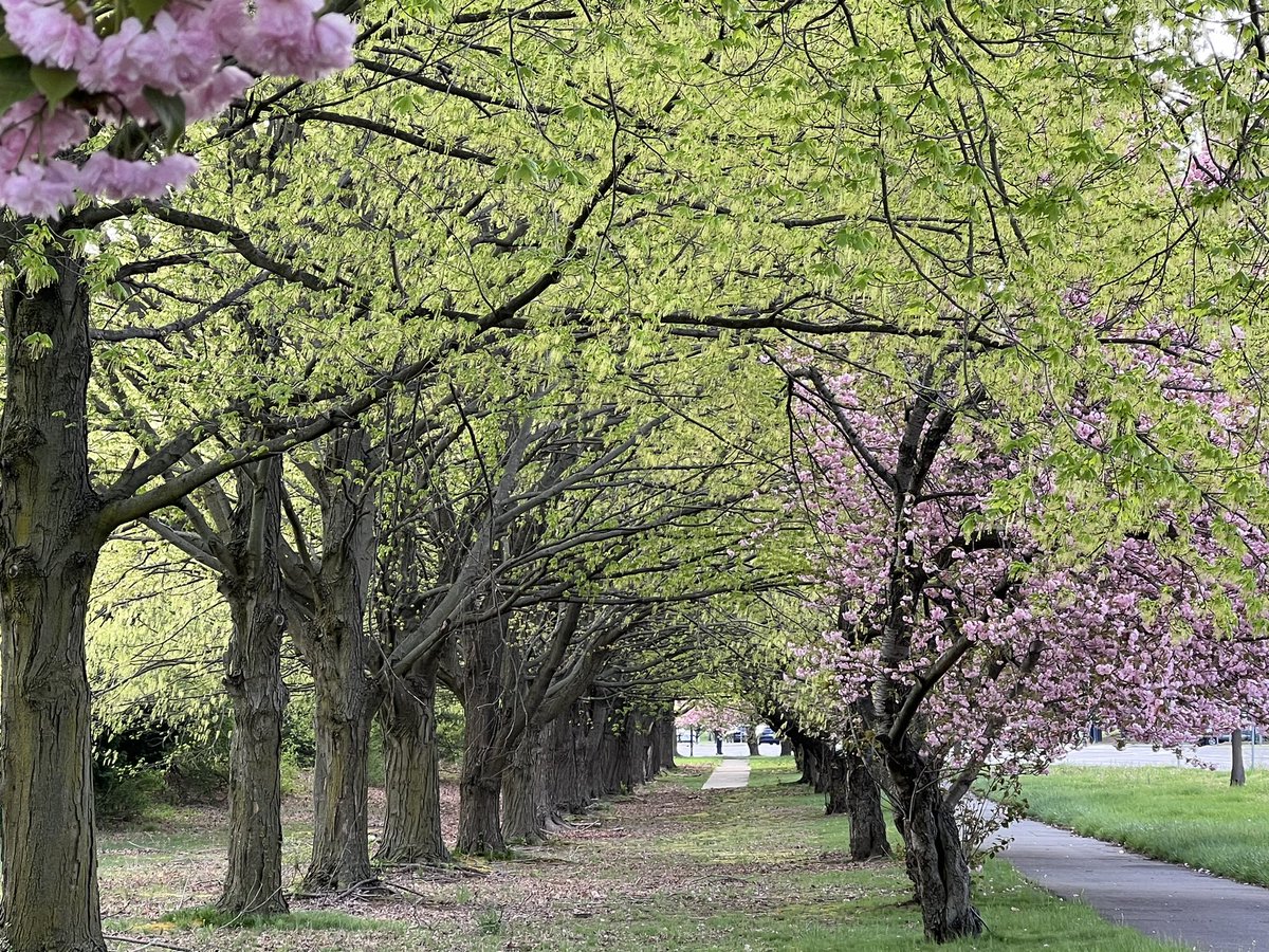 100KSteps1's tweet photo. #EarthDay How are you honoring the #Earth today? https://t.co/7ZQu2XeJsa