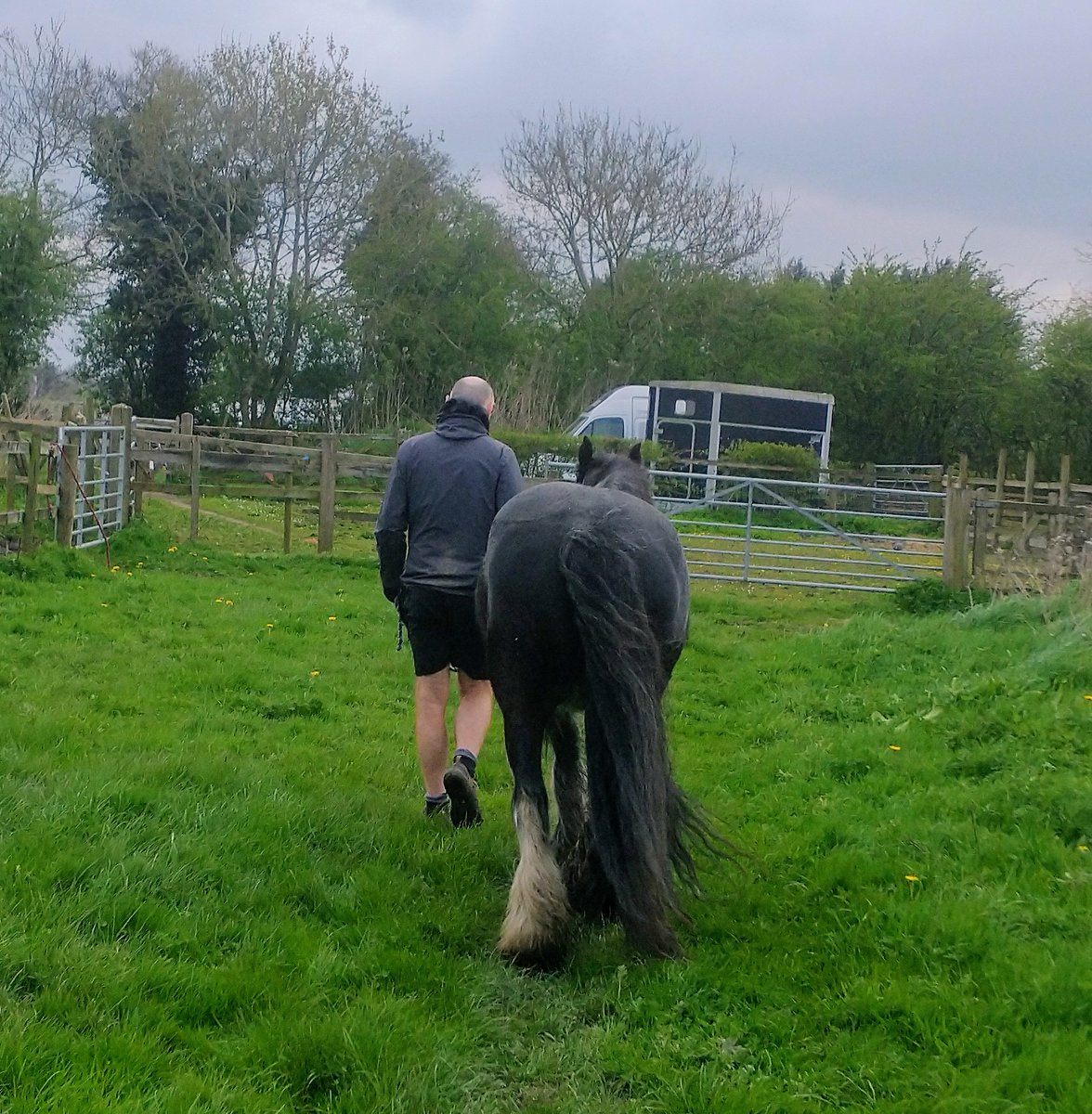 DianeElleray's tweet photo. Big k on horse duties https://t.co/vbm1Lhb0Jz