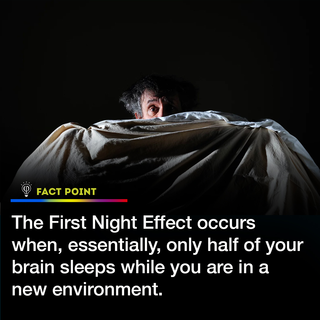 FactPoint's tweet photo. 🧠💤 First Night Effect: Did you know that when you're in a new environment, your brain's "security system" kicks in, causing only half of it to sleep? Stay aware, stay curious! #FirstNightEffect #SleepFacts #BrainAwareness https://t.co/u7FvmgYxdK
