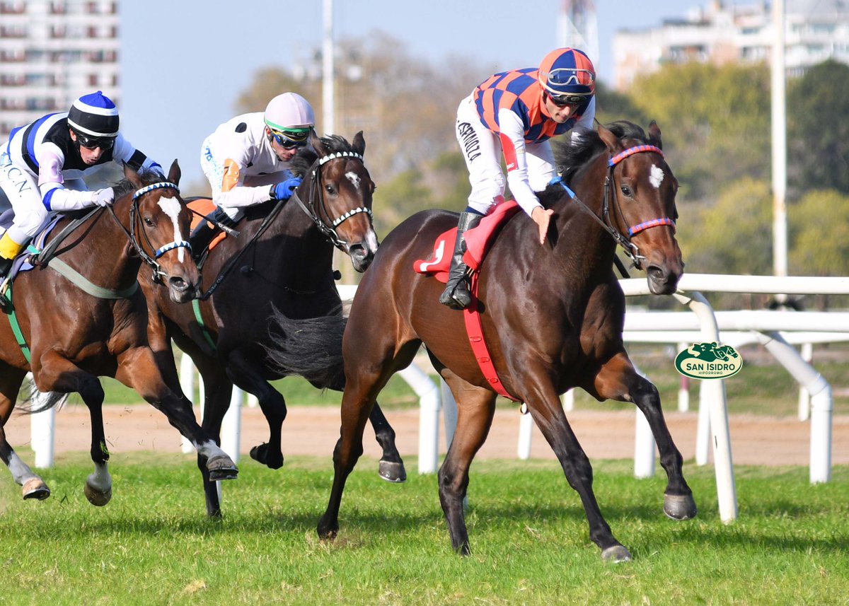 HipodromoSI's tweet photo. ✅ En el @HipodromoSI se disputó el #ClásicoJuanBoucau (1500 metros), donde se impuso #NoFear (Brz., Agnes Gold), del #StudRDI, entrenada por #AlfredoGaitánDassié y dirigida por #JoséEspinoza. https://t.co/lKSYTkzkEx