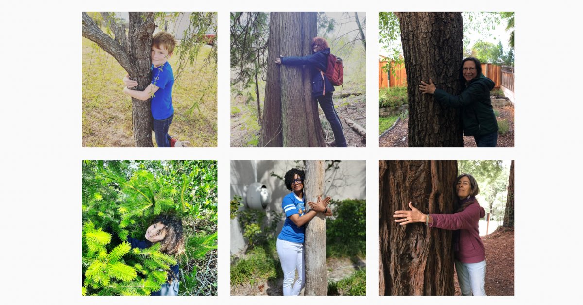 SempervirensFnd's tweet photo. 1 year ago today, we set a GUINNESS WORLD RECORDS® title with #HugATreeChallenge 🌲 Together, we showed that people both love trees & understand the uncertainty they face from the impacts of climate change. 🌎 TAKE ACTION for #EarthDay2023: https://t.co/yWMUvKeoKr #Redwoods https://t.co/c6IfEs0wfZ