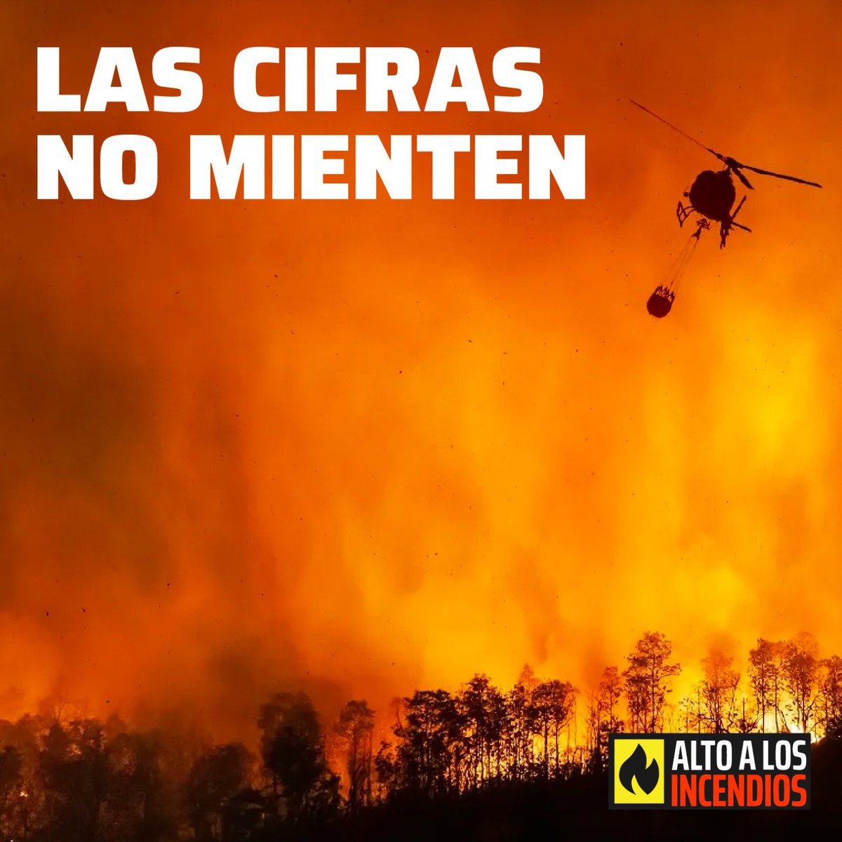 LAS CIFRAS NO MIENTEN.

Esta temporada, en nuestro país, la superficie dañada por incendios aumentó en un 241% respecto a la temporada pasada, a la misma fecha.

ES UNA CIFRA ALARMANTE QUE NO DEBEMOS NORMALIZAR.

¡No más incendios forestales!

#altoalfuego #nomás