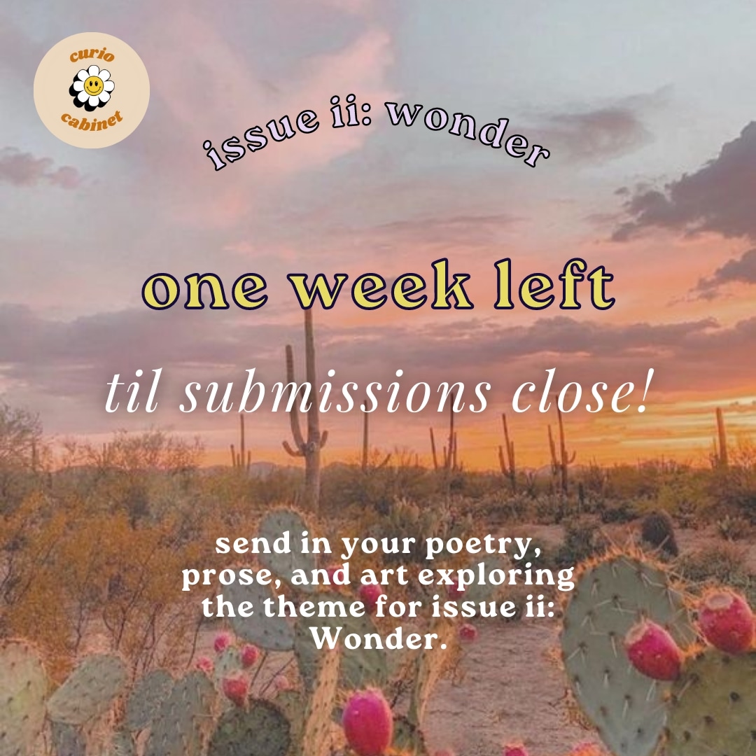 subs close in one week! send over the things that make you awestruck for issue ii: wonder.