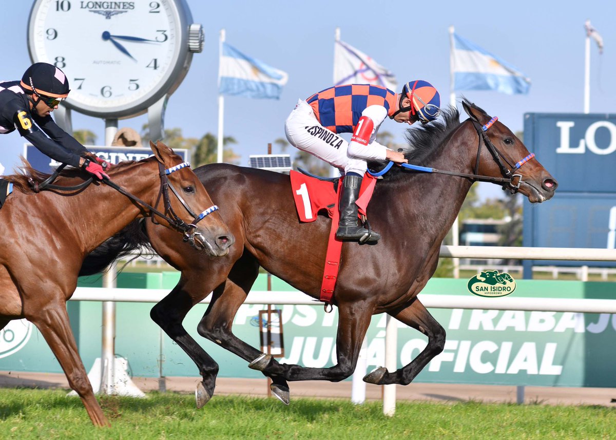 HipodromoSI's tweet photo. ✅ En el @HipodromoSI se disputó el #ClásicoJuanBoucau (1500 metros), donde se impuso #NoFear (Brz., Agnes Gold), del #StudRDI, entrenada por #AlfredoGaitánDassié y dirigida por #JoséEspinoza. https://t.co/lKSYTkzkEx